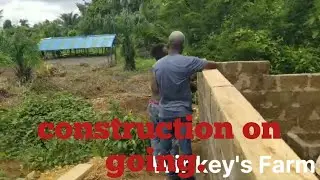 Farming in Africa. Pig farming in Africa