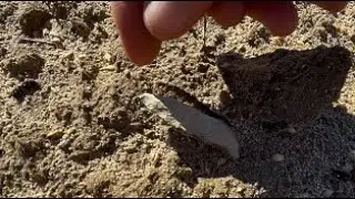 The Ancient People! ~ 621. Indian Artifact Finds! NOV 2025