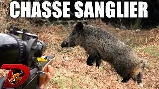 Chasse aux sangliers 2013-2014 :  partie 3 (acte 1)