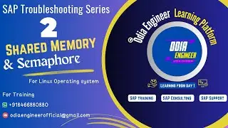SAP Troubleshooting Series: Shared Memory and Semaphore shortage in Linux |SAP BASIS | SAP HANA