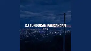 DJ Tundukan Pandangan (Remix)