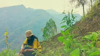 countryside vibes. Gardening, planting and cooking. mountain life in indonesia.