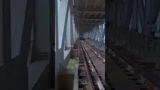 wag 9 full speed