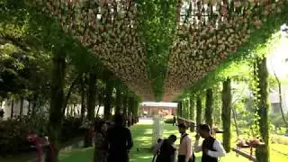 Decor by FNP Weddings & Events