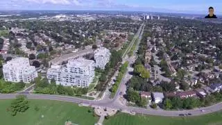 WILD PERSPECTIVE WITH DRONE