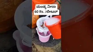 Neera #coconut #toddy #shorts #shortsfeed #youtubeshorts #village #nature #shortsvideo #neera