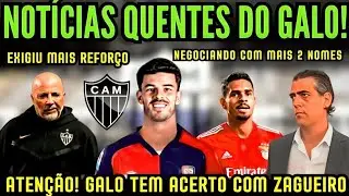 URGENTE! GALO TEM ACERTO COM ZAGUEIRO  ,SAMPAOLI EXIGIU MAIS REFORÇOS ,GALO NEGOCIANDO COM  2 NOMES