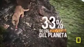 Biodiversidad de Am&eacute;rica Latina y el Caribe