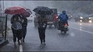 Gujarat records 11 pc average rainfall in barely 3 days