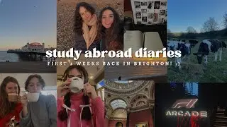 2 weeks in brighton ∣ study abroad diaries