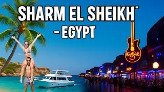 Sharm El Sheikh is UNREAL! 🌴 Egypt&rsquo;s Tropical Paradise + Nightlife Tour ✨ #egypt #adventure #travel