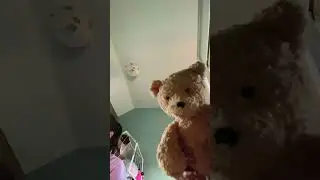 Teddy ninja