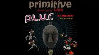 Primitive awakening Live at Plur Festival 2017 // Teaser 01