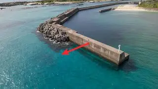 南方の離島で極浅テトラに餌をブッコむと…一体どんな大物が食らいつくのか？【屋久島編 #4】