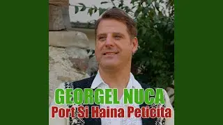 Port Si Haina Peticita
