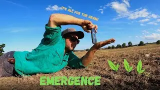 CROPS ARE COMING UP! | Seeding 23 | Australian Sheep Farming