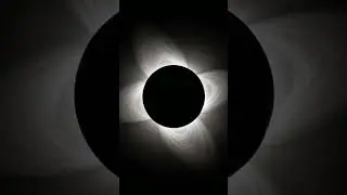 What Happens When the Sun Disappears? 🌑 #astronomy #solareclipse #space
