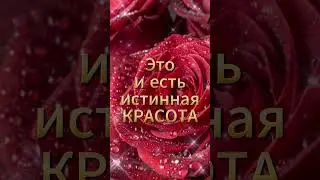 Просто БУДЬ СОБОЙ ❗🤗