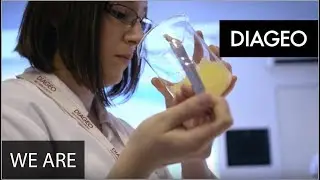 We Are Diageo | Meet Alison King, Liquid Scientist | Bishop&rsquo;s Stortford, UK | Diageo