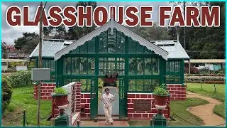 Modern GLASSHOUSE Farming Setup &ndash; Best Greenhouse Farm Design Ideas
