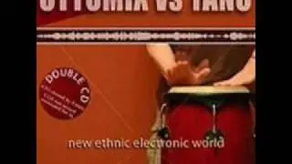 AFRO - ACID FOLK