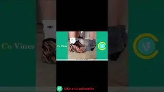 When your single😂😂 Jake Paul funny vines #shorts