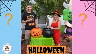 10 Halloween Gender Reveal Ideas of 2019