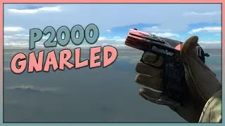 Gnarled | P2000 (csgo skin preview)