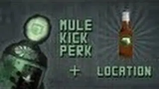 NEW! Black Ops Zombies! - 'MULE KICK' Perk LOCATIONS on ALL Maps!