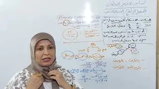 التناسب + تمارين(1-4) | الفصل الرابع | السادس الإسلامي