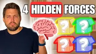 Human Behaviour Explained in 4 Ideas