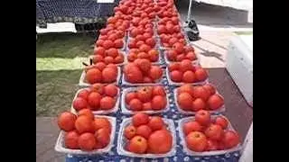 Safe Produce