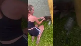 Woman Rescues Raccoon From Plastic Bottle