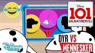 Dalmatinervej 101 | Dyr vs Mennesker: Reng&oslash;ring 🐱- Disney Channel Danmark