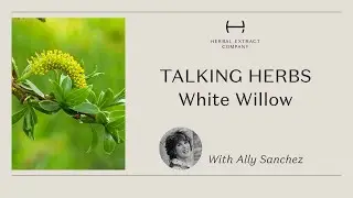 White Willow   The Herbal Extract Company Video Collection   Talking Herbs With Ally Sanchez