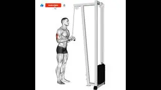cable v bar  triceps Pushdown