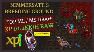 Tibia Hunt DRAG&Atilde;OZIN MS 1600+ / Nimmersatt's Breeding Ground /XP 10.1kk/h raw /TOP ML Belobra