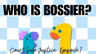 Court Side Justice: Exploring Best Friendship