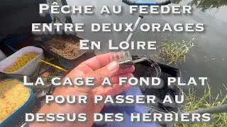 Pêche de BREMES, GARDON et ABLETTES au FEEDER dans la LOIRE à BALBIGNY, les orages d'été sont là