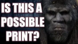 BIGFOOT PRINT? | CREEPY FOREST | 401 FILES