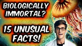Unveiling the Unusual 15 Astounding Facts That Will Warp Your Perception of the World
