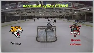 s2e29 весенний кубок СПБХЛ / Гепард - Дикие Кабаны