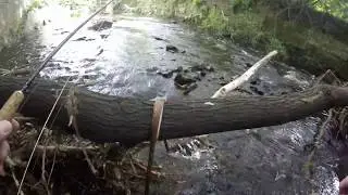 River Tonge Fishing in Dirty Places 20 Aug 17