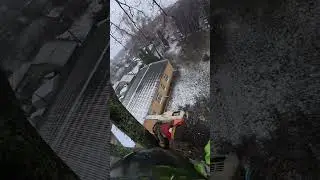 How Tree Crowns Fall #ProArboristExtreme#DangerousJobs#Chainsaw#Stihl#TreeClimber