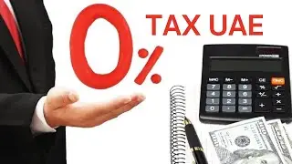 Tax advices from Tax Expert: 