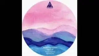 Mobile Soul System - Fabric (Original Mix) [Conceptual]