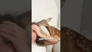 These girls have a pet baby deer 😂