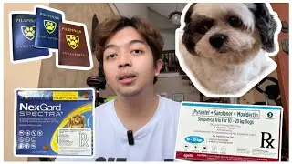 Why my dogs switched from Bravecto to Nexgard spectra & Simparica trio