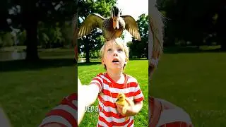 Veo 3.1, Who Wins! Toddler vs. Mama Duck: The Ultimate AI Motion Challenge (Sora 2, Veo 3.1)