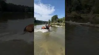 Wjeżdżaliście kiedyś na koniu do wody?🌊 #equestrian #jazdakonna #koń #konie #jeździectwo #horse #eq
